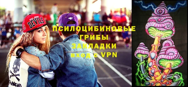 твердый Алексеевка