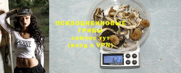 гидропоника Алзамай